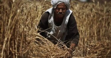 الأمن الغذائي المصرى والحرب الروسية الأوكرانية