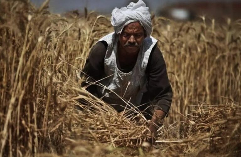 الأمن الغذائي المصرى والحرب الروسية الأوكرانية