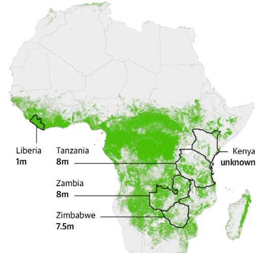 التدافع الجديد من أجل أفريقيا.. ماذا عن تنامي الدور الإماراتي حول عقد صفقات الكربون في القارة؟